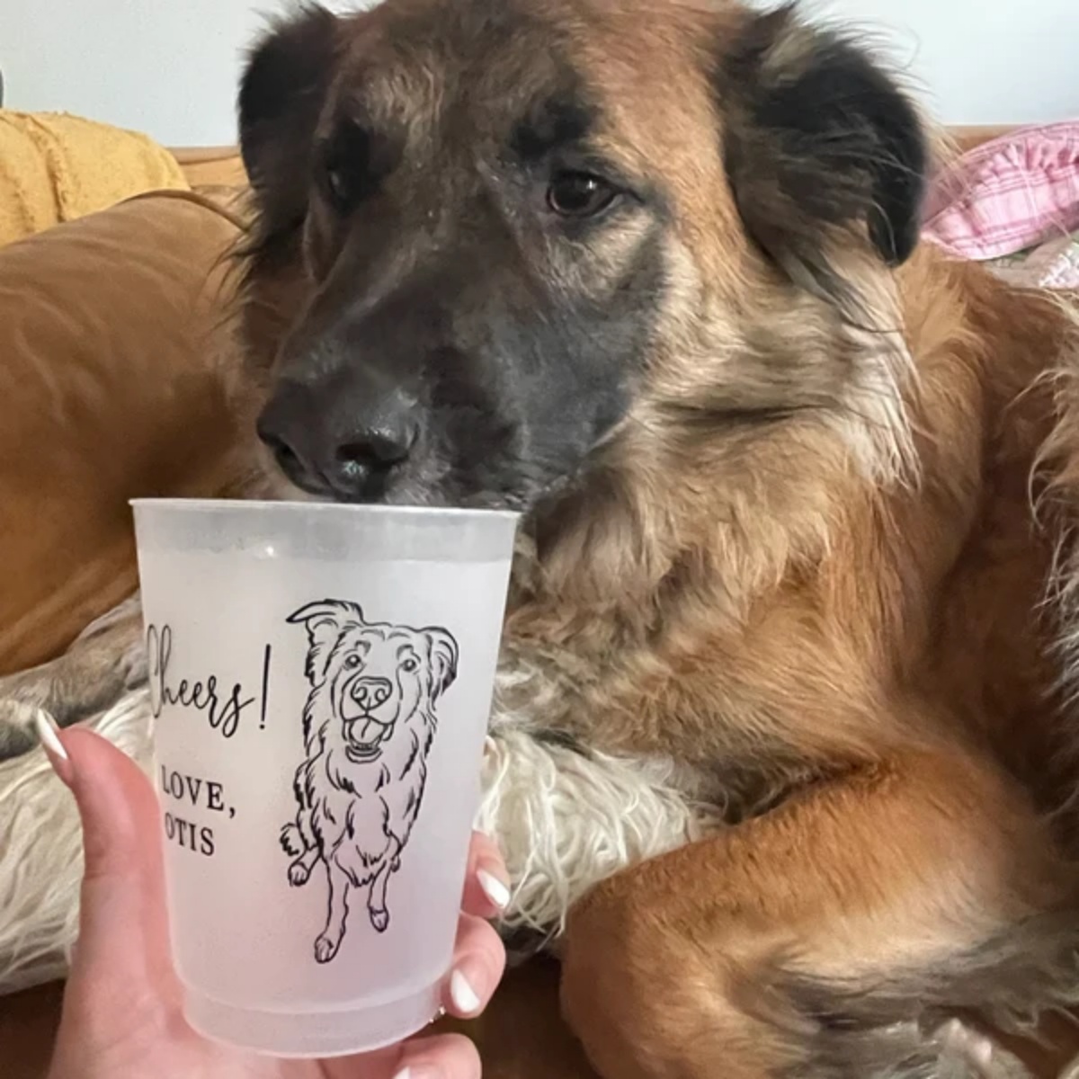 10/50 Personalized Barn Weddin - Plastic Cup 50Pcs recension och pris