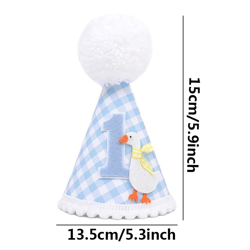 New Goose Birthday Hat Mini He - Party Hat Cone recension och pris